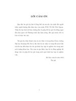 Bài toán cauchy cho phương trình đạo hàm riêng tuyến tính