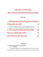 Phân tích nền kinh tế 9 tháng năm 2010