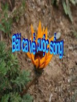 BÀI CA MUÔN MÀU VỀ CUỘC SỐNG