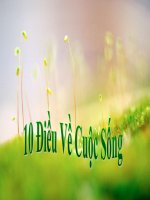 10 điều hay về cuộc sống