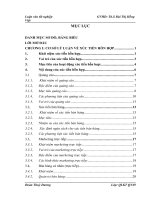 một số giải pháp nhằm hoàn thiện hoạt động xúc tiến hỗn hợp cho công ty tnhh sơn asee việt nam