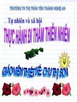 Bài 56-57: Thực hành đi thăm thiên nhiên