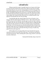 Báo cáo thực tập tìm hiểu quá trình lắp đặt vận hành trạm BTS 3g