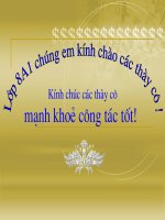 Tiết 4 : Tạo dáng và trang trí chậu cảnh(hoàn chỉnh)