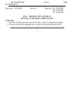 Giáo án Mĩ Thuật 9 - Hình ảnh chi tiết