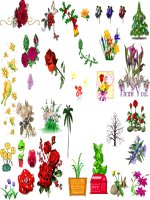 Bo anh dong lam giao an dien tu