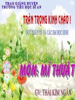 VE TIEP HOA TIET VAO DUONG DIEM VA VE MAU