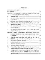 thực trạng nhập khẩu của công ty tnhh thương mại và xuất nhập khẩu đại phong