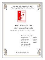 báo cáo sử lý ngôn ngữ tự nhiên đề tài phân lớp văn bản - phân loại website