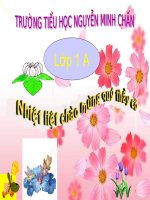 Cám ơn - Xin lỗi