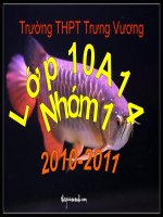 Bài 33- Axít Sunfuric