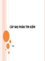 cây nhị phân