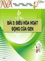 Bài 3 : Điều hòa hoạt động của gen