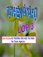 Bài 64: Năm, tháng và mùa