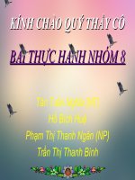 Nguyễn Du và Truyện Kiều 11