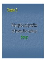 Principles and practice of interactive systems