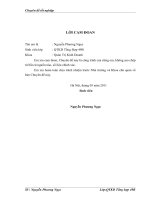 đẩy mạnh hoạt động tiêu thụ sản phẩm ở công ty cổ phần đầu tư thương mại và dịch vụ tây hồ