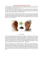 Lãng phí nhân tài là lãng phí lớn nhất