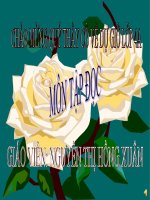 Tập đọc: Bài Văn hay chữ tốt