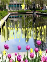 Thieu nu ben hoa hue