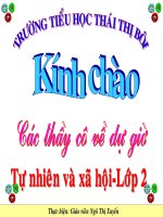 Bài 25 Một số loài cây sống trên cạn