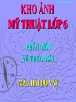 KHO ẢNH MT6: VẺ MẪU HAI ĐỒ VẬT