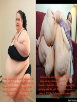 HÌNH ẢNH SUY NGẪM NGƯỜI-CÂY- ĐVẬT