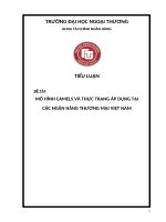 MÔ HÌNH CAMELS VÀ THỰC TRẠNG ÁP DỤNG TẠI CÁC NGÂN HÀNG THƯƠNG MẠI VIỆT NAM