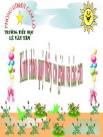 Cấu tạo bài văn miêu tả