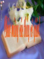 tiet 100- Nghi luan ve mot su viec hien tuong doi song