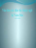 dân tộc ngữ hệ nam đảo