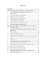 một số giải pháp nâng cao hiệu quả sử dụng vốn ở công ty cổ phần sơn hải