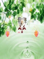 Bài 3 Vẽ Đường Thẳng