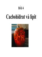 Bai 4. cacbohidrat va lipit