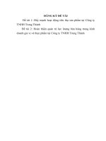 khảo sát, đánh giá tình hình sản xuất kinh doanh tại công ty tnhh trung thành