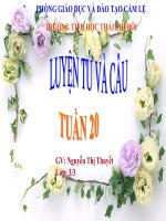 MRVT Tổ quốc dấu phẩy