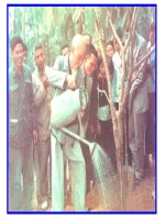 hinh anh ve moi truong