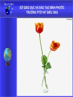 bai 10  Suc ep cua dan so toi TN MT doi nong