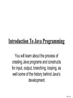 Introduction to java programming