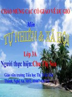 Bài 52. Cá (trang 100)