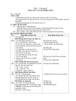 Giáo án Lớp 4 Hồ Chí Minh