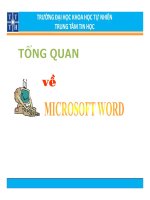 HƯỚNG DẪN TỪNG BƯỚC HỌC MICROSOFT WORD 2010