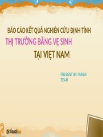 Báo cáo kết quả nghiên cứu định tính thị trường băng vệ sinh tại việt nam