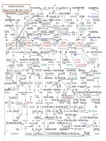 Chuỗi phản ứng hóa hữu cơ(hay)