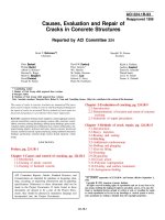 causes, evaluation and repair of cracks in concrete structures
