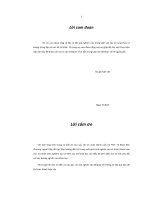 Phong cách nghệ thuật truyện ngắn Đỗ Chu