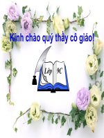 tiết 21:Sự phát triển của từ vựng