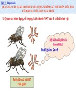 Bài 7: thực hành quan sát các dạng đột biến NST