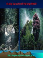 Những hình ảnh thực vật và động vật Việt Nam và thế giới