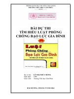 BÀI DỰ THI TÌM HIỂU LUẬT PHÒNG CHỐNG BẠO LỰC GIA ĐÌNH